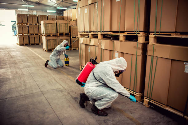 Best Exterminator Services  in Marble Falls, TX