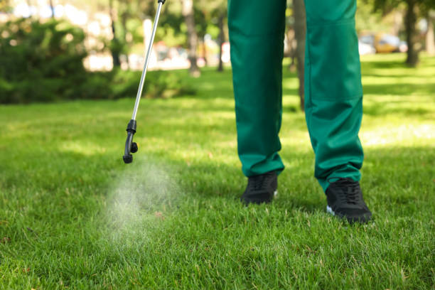 Best Cockroach Control Services  in Marble Falls, TX