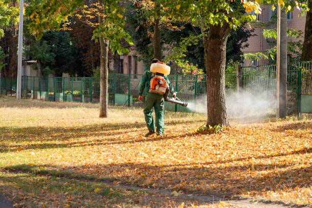 Best Flea Control Services  in Marble Falls, TX