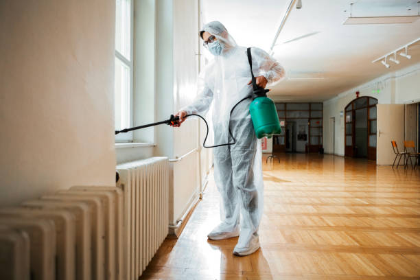 Best Pest Control for Businesses  in Marble Falls, TX