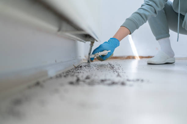 Best Pest Inspection Near Me  in Marble Falls, TX