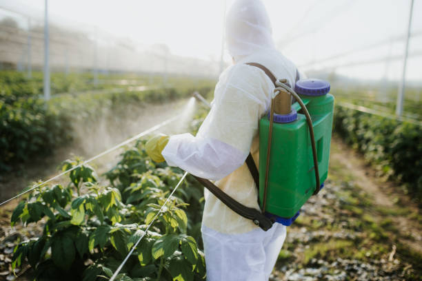 Professional Pest Control in Marble Falls, TX